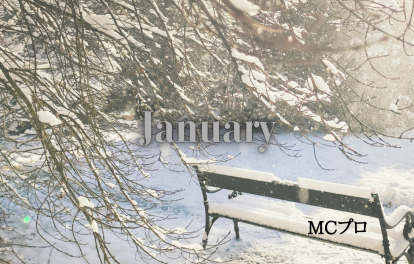 １月展示会情報 MCプロ 東京ビックサイト 幕張メッセ 名古屋ナレーター 東京ナレーター 大阪ナレーター 名古屋MC事務所 東京MC事務所 早川薫 ウェルビーサポート 名古屋MC 東京MC 大阪MC