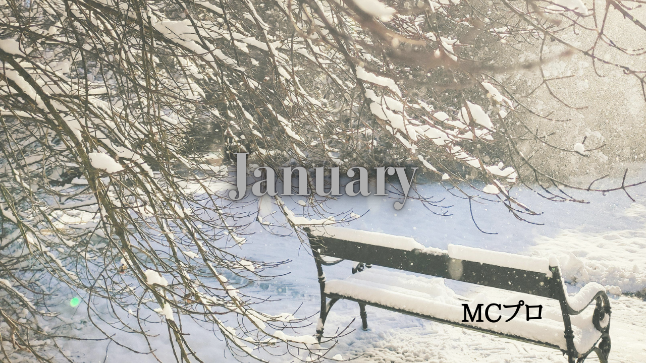 １月展示会情報 MCプロ 東京ビックサイト 幕張メッセ 名古屋ナレーター 東京ナレーター 大阪ナレーター 名古屋MC事務所 東京MC事務所 早川薫 ウェルビーサポート 名古屋MC 東京MC 大阪MC